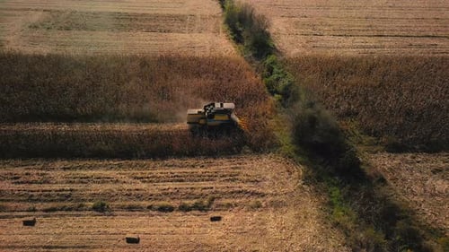 Corn Harvesting Aerial - 4K
