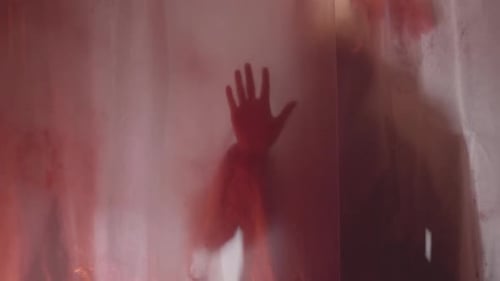 Silhouette Behind Bloody Shower Curtain