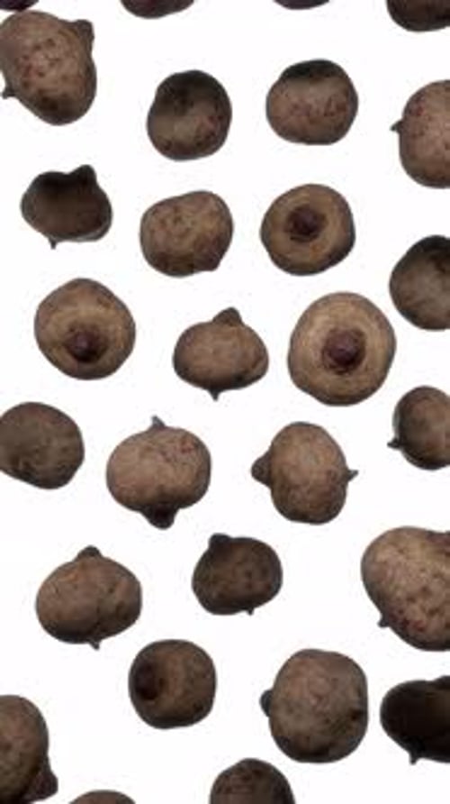 Organic Tubers Falling Naturally on White Background
