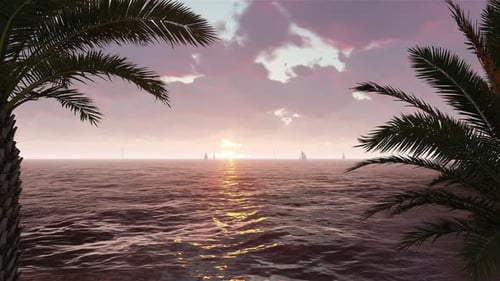 Tropical Sunset Ocean View