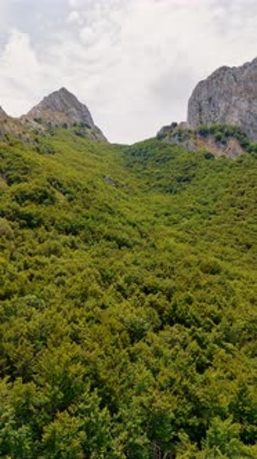 Flying over the lush greenery of the forest covering the rocks.