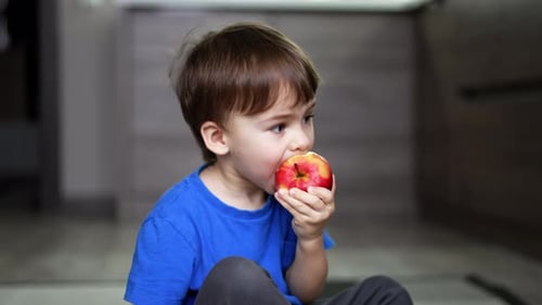 Child Eating an Apple in the Home