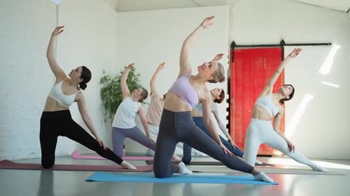 Yoga Class Pilates Workout Group of Sporty People Doing Exercise in Studio Class for Yoga Wellness