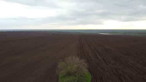 Blue tractor with yellow seeder working on the field in Ukraine OA