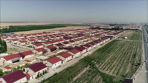Aerial View of Rows of Houses in Suburb
