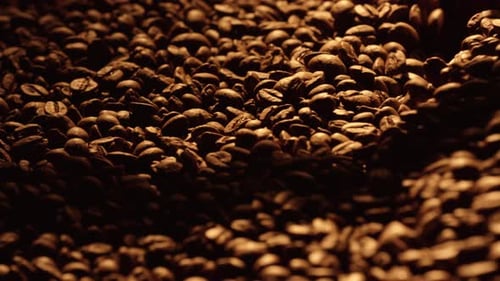 Freshly Roasted Coffee Beans Close Up