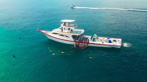 Fishermen on a White Boat Take Out Fishing Nets with Caught Fish Near a Local Island in the Maldives
