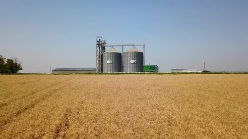 Aerial of Grain Elevator in Front of Wheat Field Quadcopter Drone Camera Flying From Flour or Oil