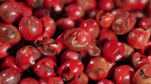 Heap of Red Peppercorns, Extreme Close Up