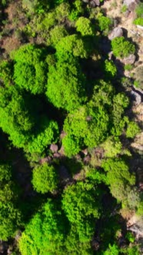 Loriga Portuguese Village Vertical Video