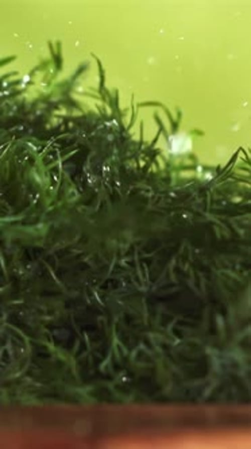 Dill Falls on a Wooden Plank Filmed on a Highspeed Camera at 1000 Fps