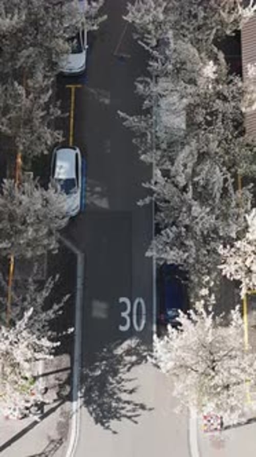 Aerial video of the Bartstrasse blooming in the streets of Zurich