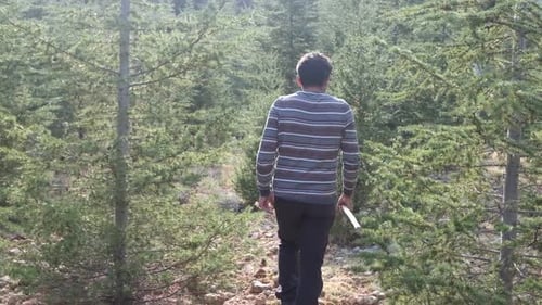 Lumberjack Ax Hand