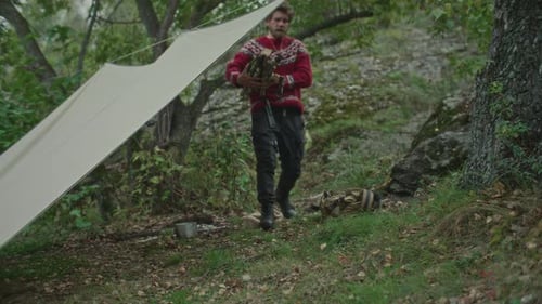 Man Bringing Chopped Firewood under Tarp Shelter at Forest Campsite
