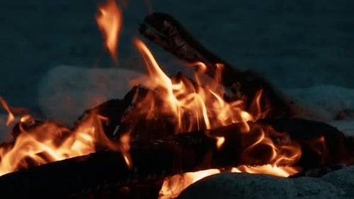 Slow Movement Of The Flames On The Beach