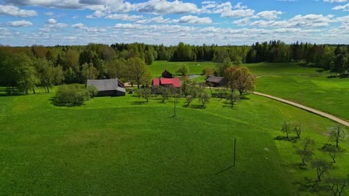 Aerial drone fly countryside village at daylight, secluded rural houses in green pine forest landsca