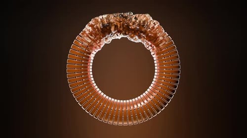 3D Render of Torus Deforming Path