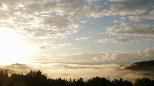 Sunrise over Foggy Forest Valley Landscape