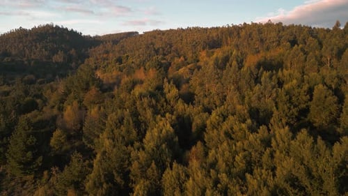 Mountains Covered With Dense Thicket In Encrobas, Cerceda, Spain. Aerial Drone Shot