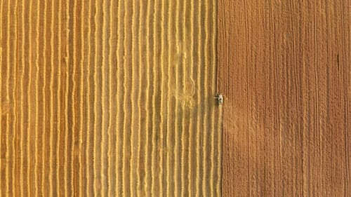 Aerial Footage of Agricultural Combiner Within a Field