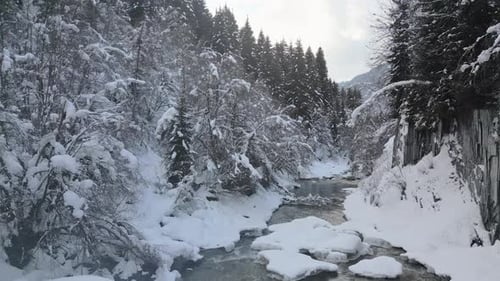 River And Majestic Winter Forest Landscape (Revealing)
