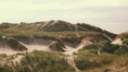 Scenic view on dune landscape with dune grass at the atlantic coastline in Denmark.