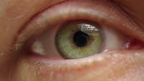 Extreme Close Up of Woman Blinking Beautiful Eye with Green Iris