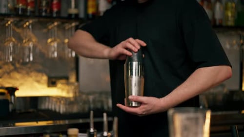Bartender Shakes Cocktail in a Silver Shaker