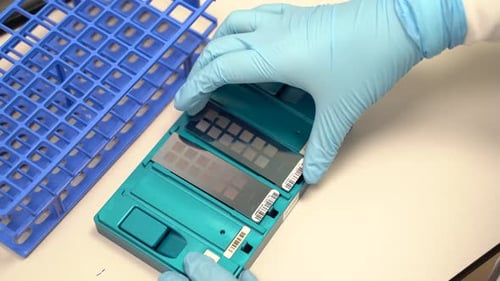 Lab technician doing experiment with blue medical glove 4K