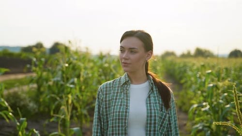 Woman Standing in a Vibrant Corn Field