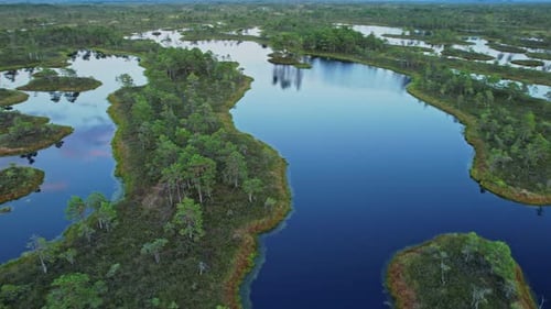 Aerial View of Wilderness Islands and Water