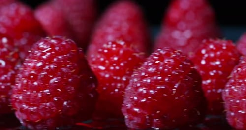 Extreme macro of juicy raspberries and genuine. Fresh red fruits and rich antioxidant vitamins.
o
