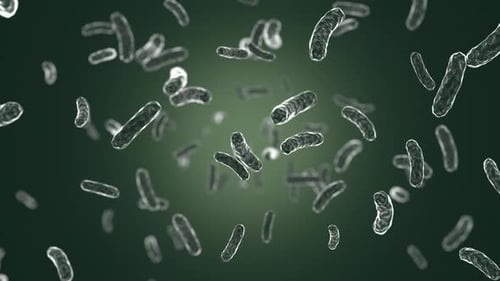 Animated Microscopic Bacteria and Germs in a Science Background