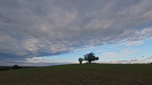 A lone tree stands on a gently sloping hill under a vast, dramatic sky. The horizon reveals a mix of