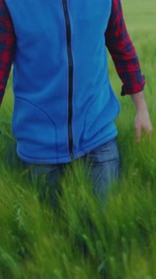 A Man in a Blue Vest Stands in a Golden Wheat Field Under a Blue Sky