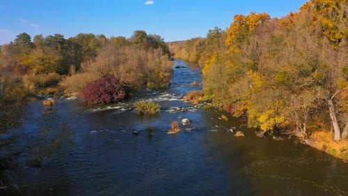 Autumn nature. Amazing scenery background. River in the forest.