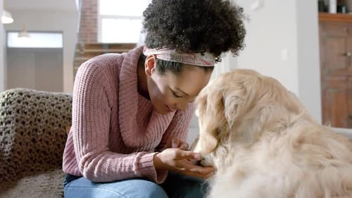 Woman Cuddles Golden Retriever Dog on Couch Indoors