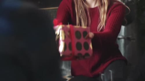 Friends Exchange Festive Holiday Gifts at Home