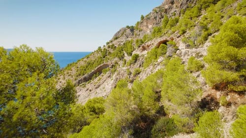 Côte rocheuse de Céphalonie avec falaises boisées, mer bleue limpide et château d'Assos