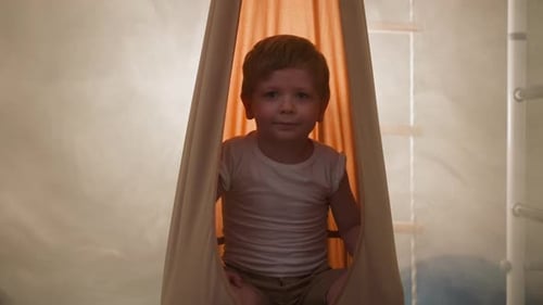 Smiling Child Sitting in Hanging Chair Indoors