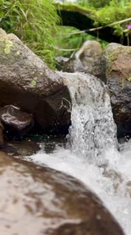 clear river water flowing between mossy and slippery rocks