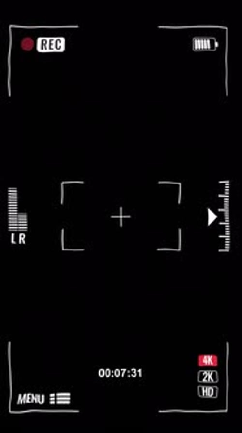 Black And White Camera Interface Overlay