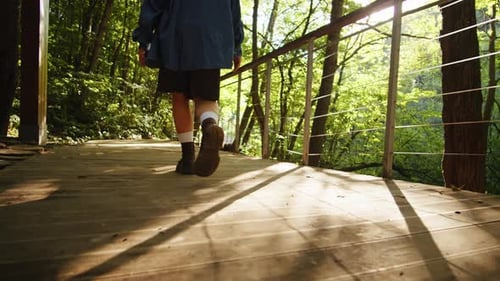 Woman Walking in the Forest on Summer Sunny Day Close Up Female Wonder in the Park A Beautiful View