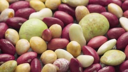 Assorted Colorful Beans Close Up Food Preparation
