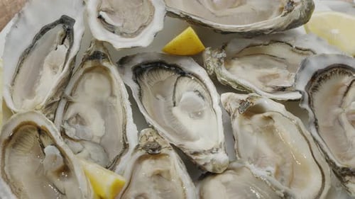Fresh raw edible oysters, popular shellfish seafood close-up.