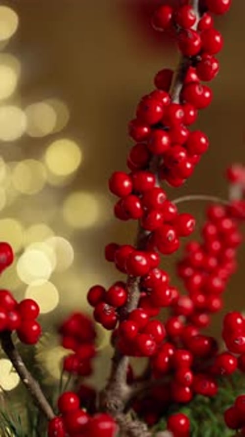 Closeup of Vibrant Red Berries with Golden Bokeh Background