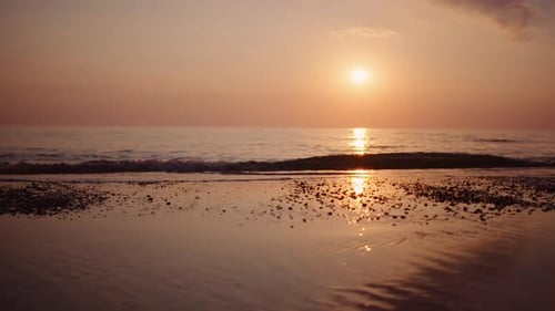 Sea Shore At Dusk In Summer