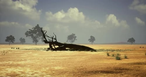 Landscape of a Barren Field with a Fallen Tree Under a Blue Sky with Clouds