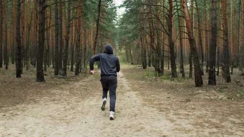 Young Fit Athlete Man Runs in the Forest Morning Outdoor Run in the Nature Healthy Lifestyle