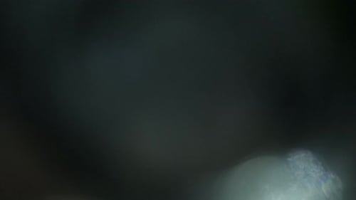 Illuminate Collection: Bright light leak transition with a green hue